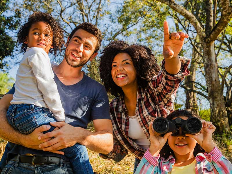 Mashele Finance services